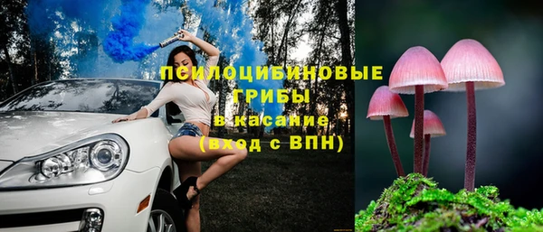ГАЛЛЮЦИНОГЕННЫЕ ГРИБЫ Алексеевка